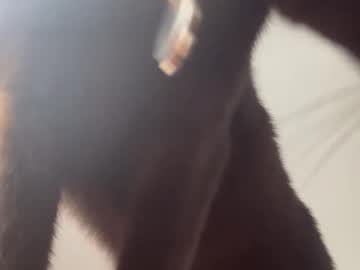 missdomino